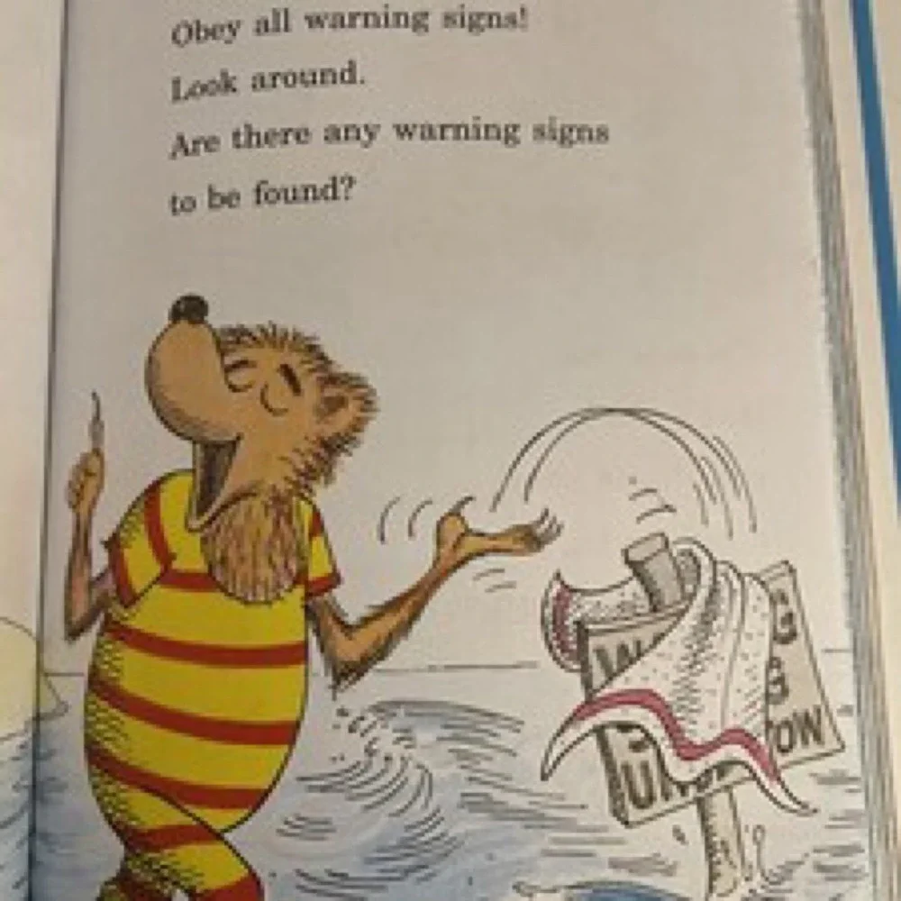 The Big Book of Berenstain Bears Beginner Books Children Stories Gift Toy Read - Picture 6 of 8